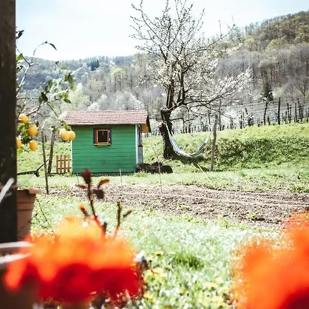 Appartement Apartma Moser *