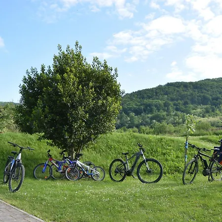 Appartement Apartma Moser Podnanos