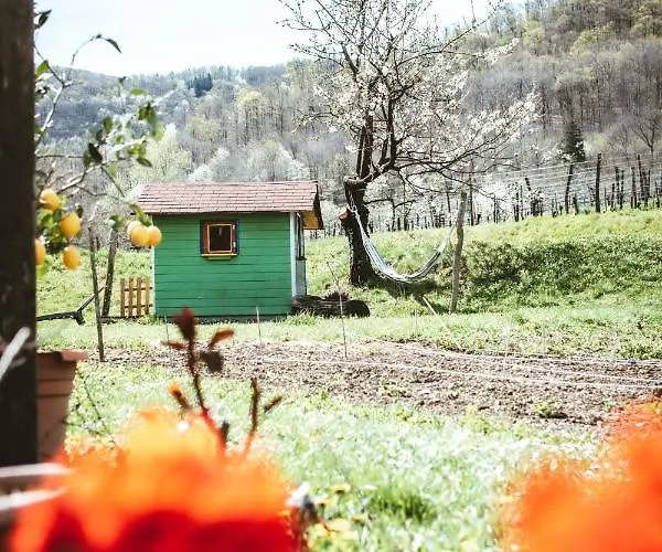 شقة Apartma Moser *