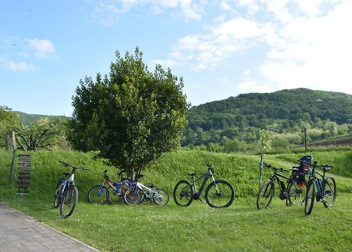 شقة Apartma Moser Podnanos